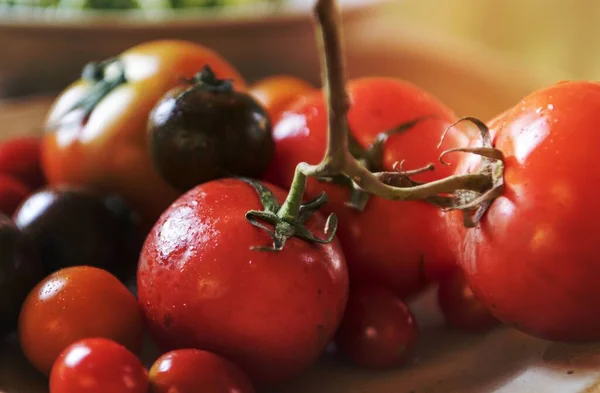 Tipos Frescos Tomates Orgânicos Uma Cozinha — Fotografia de Stock