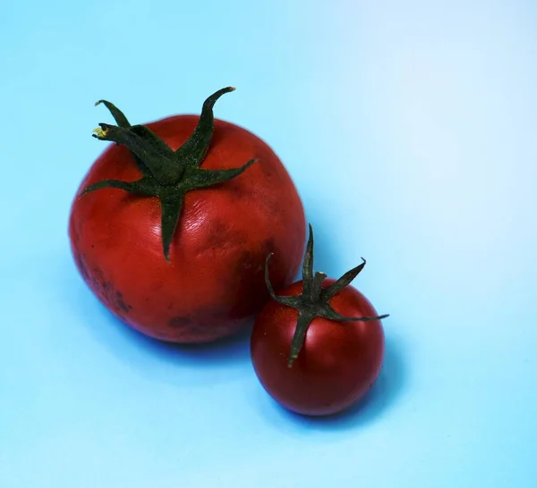 背景には有機赤トマトが2つ — ストック写真