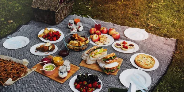 Almuerzo Picnic Comida Aire Libre Park Food Concept — Foto de Stock