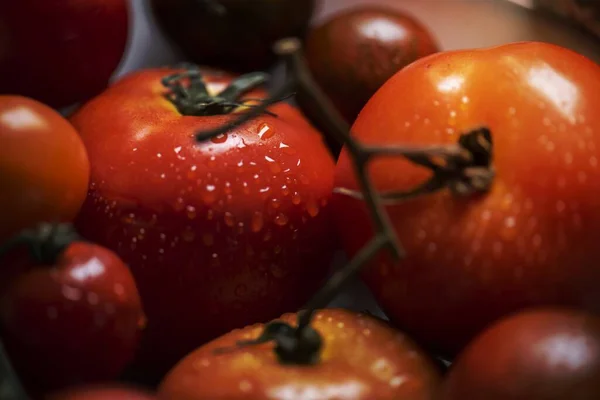 Close Fresh Organic Tomatoes — Stock Photo, Image