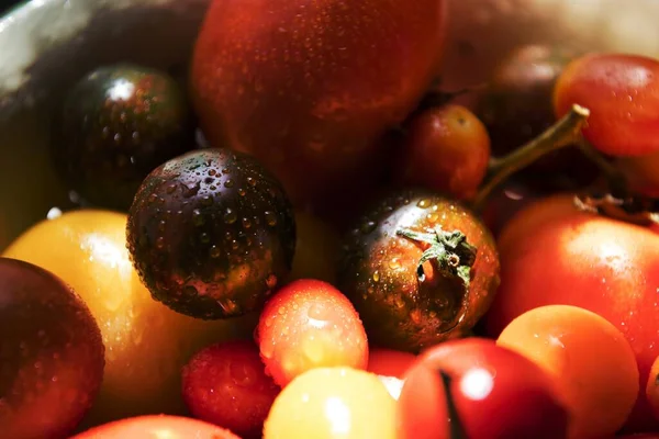 Großaufnahme Verschiedener Tomatensorten — Stockfoto