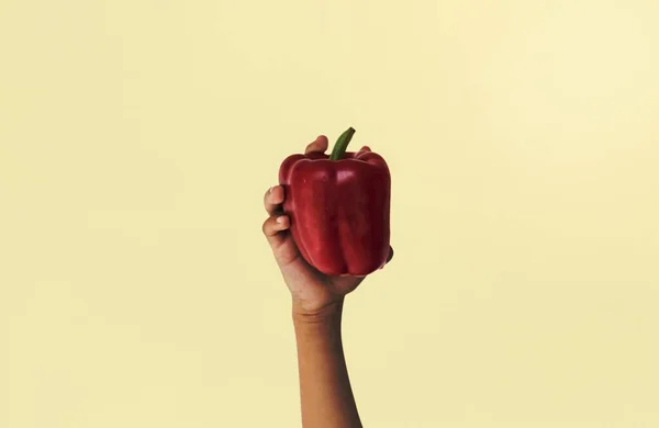 Hand Holding Red Bell Pepper Studio — Stock Photo, Image