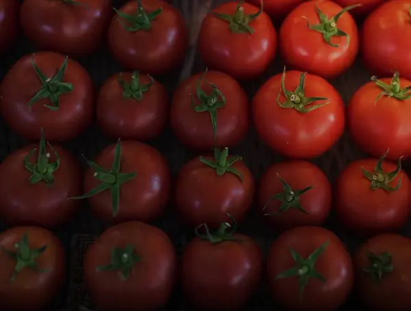 Bunch Fresh Tomato Produce — Stock Photo, Image