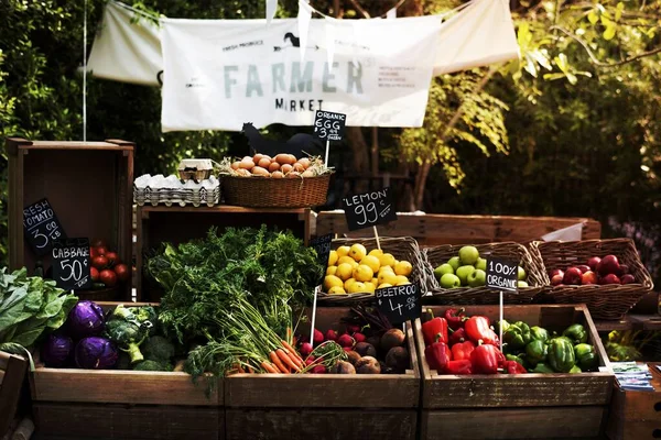 Świeże Lokalne Warzywa Ekologiczne Rynku Rolniczym — Zdjęcie stockowe