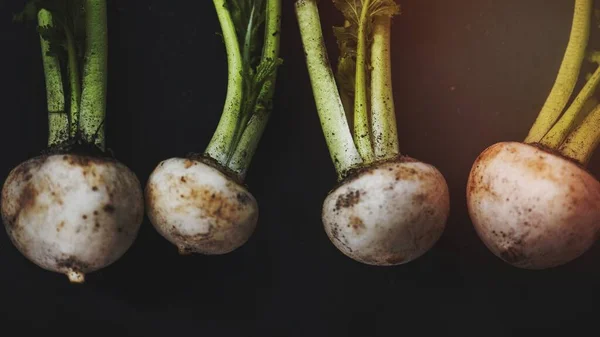Raw Nutrition Fresh Natural Turnips — Stock Photo, Image