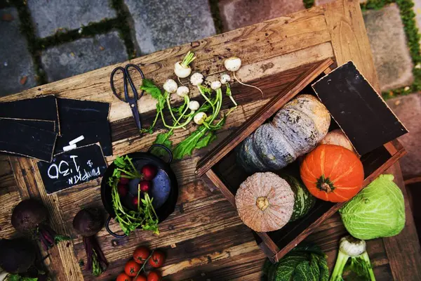 テーブルの上に新鮮なカボチャと野菜 — ストック写真