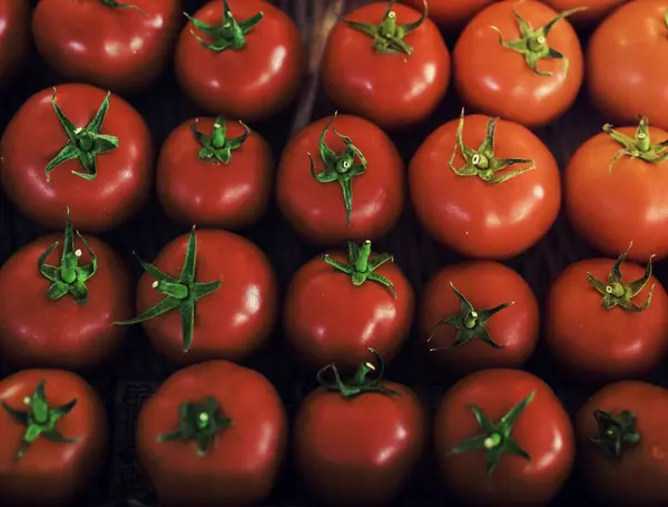 Frische Tomaten Gemüseernte Vom Bauernhof — Stockfoto