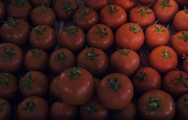 Frische Tomaten Gemüseernte Vom Bauernhof — Stockfoto