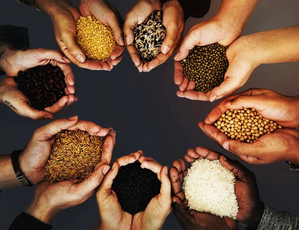stock image Hands with healthy organic seeds from nature product
