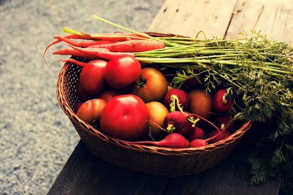 Odżywianie Warzyw Ekologicznych Upraw Wegańskie — Zdjęcie stockowe