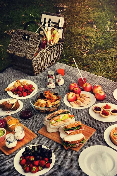 Almoço Piquenique Refeição Livre Park Food Concept — Fotografia de Stock