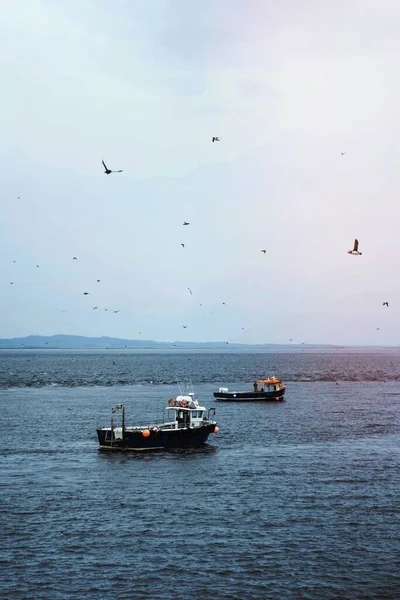 Ptaki Morskie Latające Nad Łodziami Rybackimi Morzu — Zdjęcie stockowe