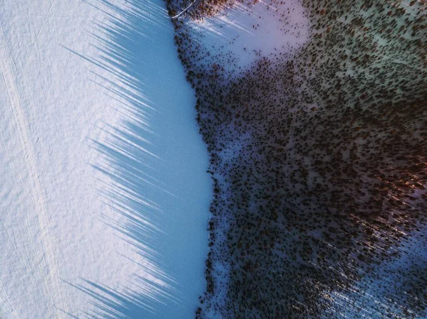 Vista Aérea Bosque Nevado — Foto de Stock