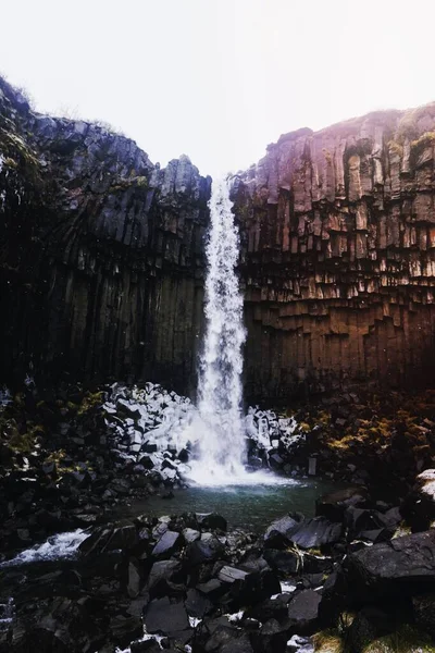 Wodospad Svartifoss Skaftafell Park Narodowy Vatnajkull Islandia — Zdjęcie stockowe