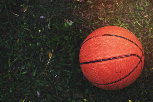 Баскетбол Лужайке — стоковое фото