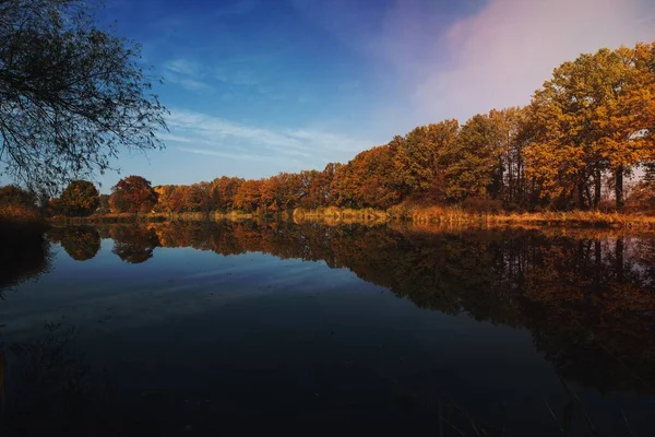 Lago Rodeado Por Árvores Outono — Fotografia de Stock