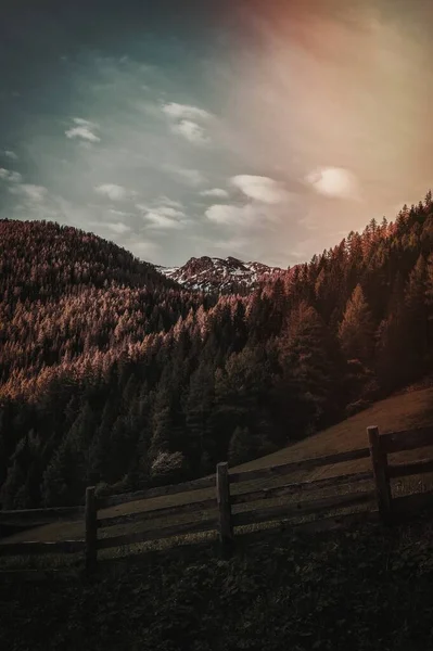 田舎の木造塀の眺め — ストック写真