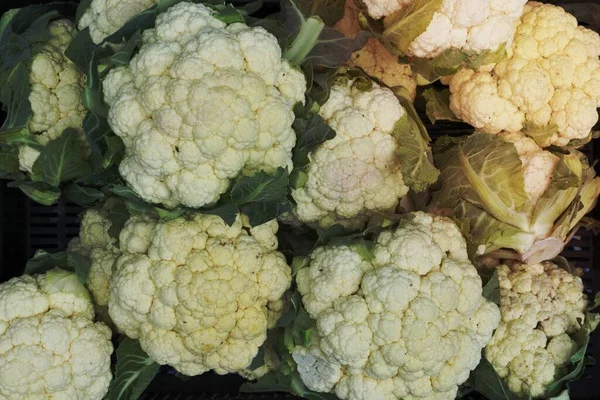 Closeup Cauliflower — Stock Photo, Image