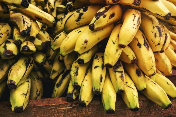 Cuban Bananas Closeup — Stock Photo, Image