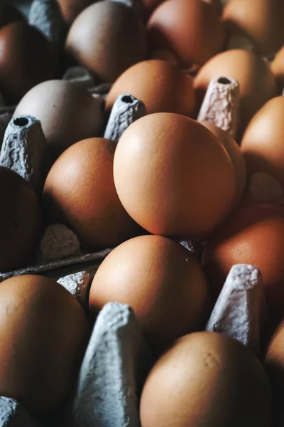 stock image Eggs in a carton