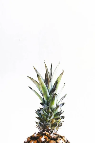 Imagine Ananas — Fotografie, imagine de stoc