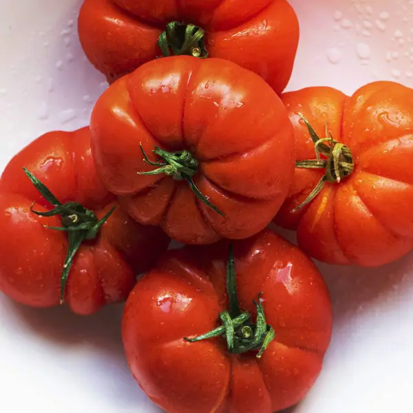 Natürliche Frische Rote Bio Tomaten — Stockfoto