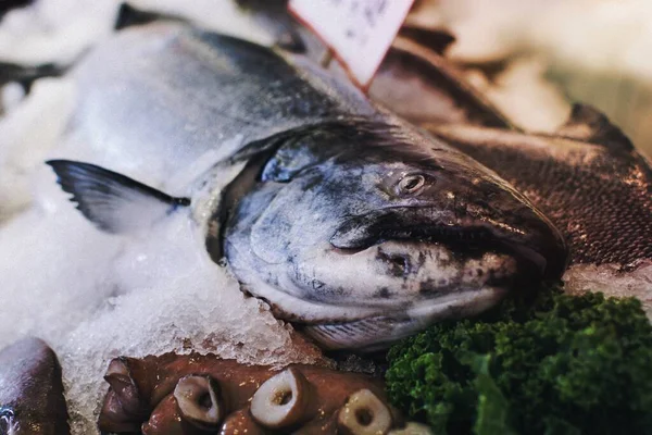 Vis Die Een Vismarkt Wordt Verkocht — Stockfoto