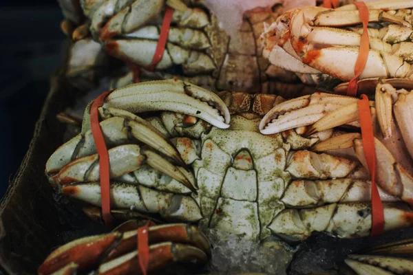 Fresh King Crab Fish Market — Stock Photo, Image