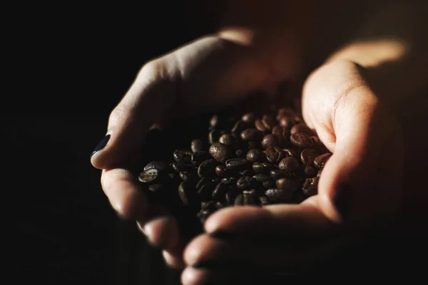 Hand Holding Coffee Beans — Stock Photo, Image
