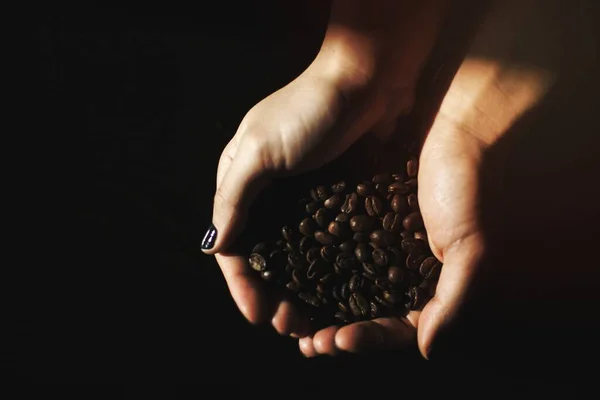 Ziarna Kawy Trzymane Ręcznie — Zdjęcie stockowe