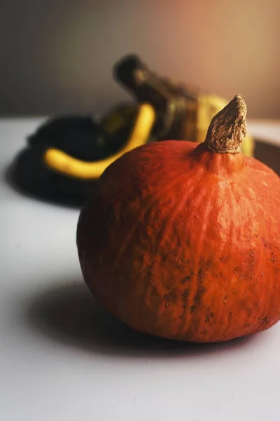 Une Image Pumpkins — Photo