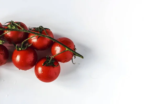 Image Fresh Tomatoes — Stock Photo, Image