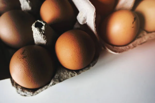 stock image Eggs in a carton