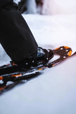 Closeup of snowshoes at a snowy peak clipart