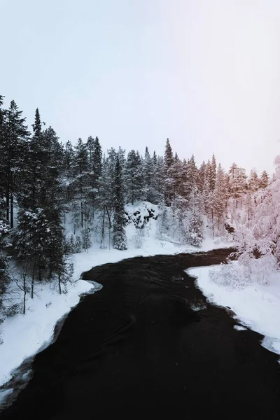 Rivière Saison Hivernale Parc National Oulanka Finlande — Photo