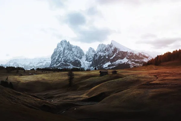 stock image View of Seiser Alm, Alpine meadow in  Italy