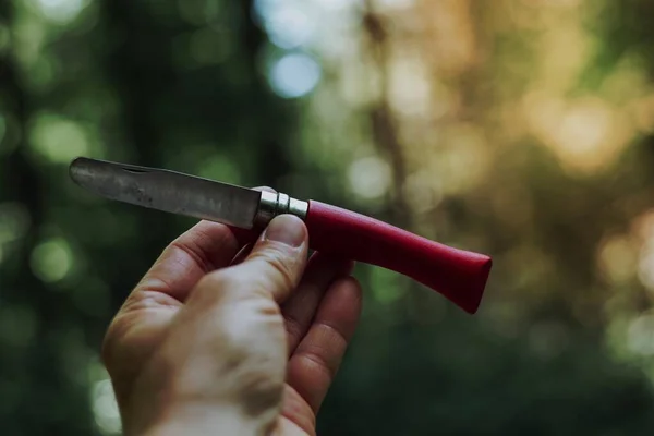 stock image Hand holding a short knife with bokeh background