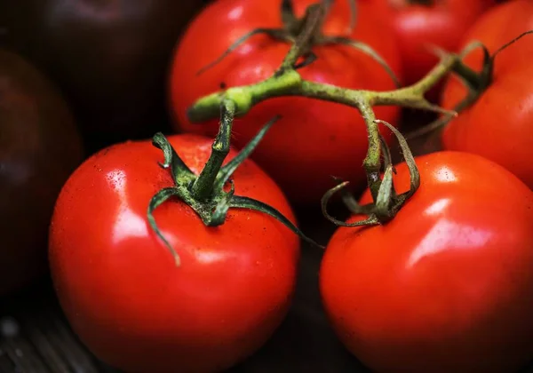 Image Tomatoes — Stock Photo, Image