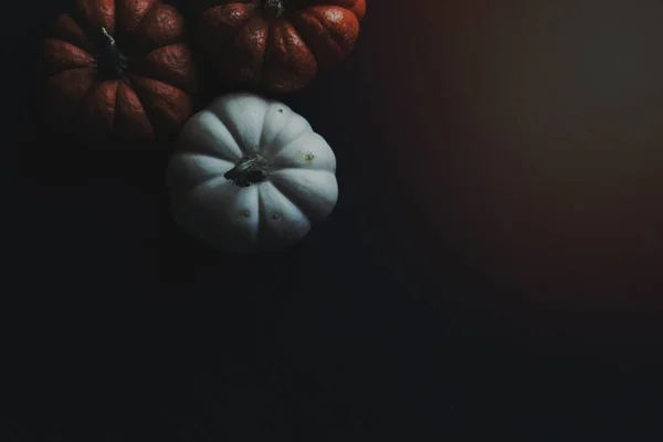Különböző Sütőtök Fekete Háttér — Stock Fotó
