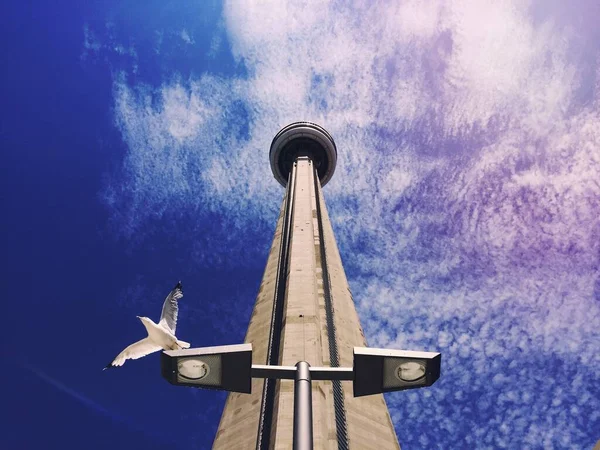 Seattle Space Needle — Stok fotoğraf
