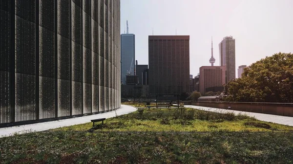 Ayuntamiento Toronto Toronto Canadá —  Fotos de Stock