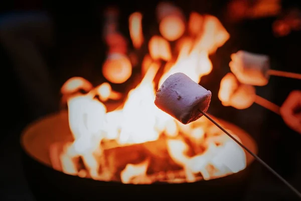 たき火で一緒に楽しむ友人たちの詳細とマーシャリング — ストック写真