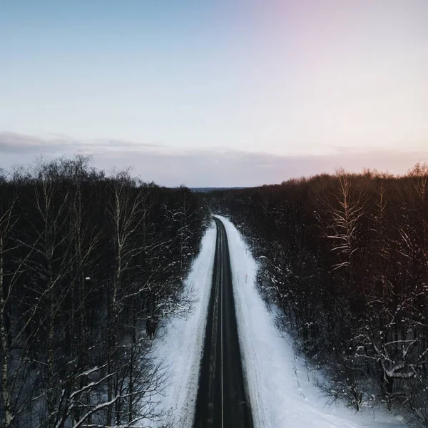 Strada Attraverso Foresta Neve Mosca Russia — Foto Stock