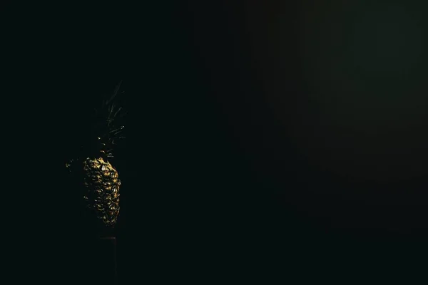 Karanlıkta Taze Ananas — Stok fotoğraf