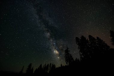 Samanyolu, Yosemite Vadisi Kaliforniya, ABD 'de gece gökyüzünde.