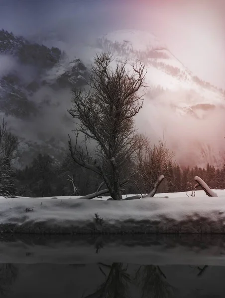Зима Национальном Парке Йосемити Сша — стоковое фото