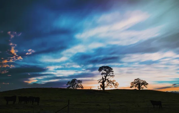 Пейзаж Голубого Неба Рыцарском Пароме Сша — стоковое фото