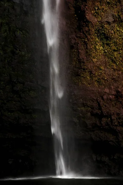 Vista Whangarei Falls Nueva Zelanda — Foto de Stock