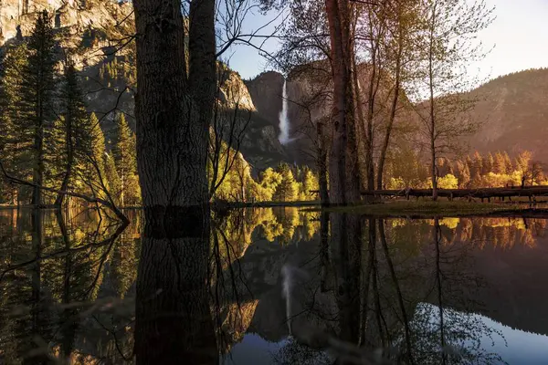 Nature Yosemite National Park United States — Stock Photo, Image