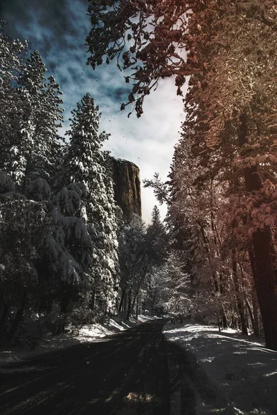 Zima Yosemitském Národním Parku Spojené Státy Americké — Stock fotografie